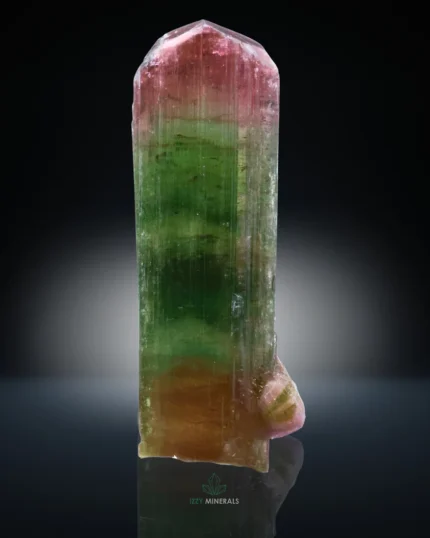 Bi-Colour Tourmaline Crystal – 24g Natural Crystal | Paprook Mine, Afghanistan